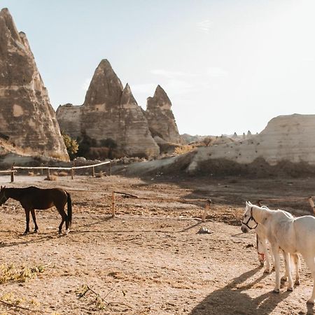 Sandik Cave Suites نفسهير المظهر الخارجي الصورة